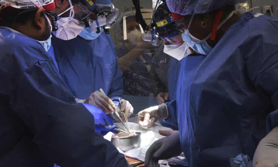 In a photo provided by the University of Maryland School of Medicine, members of the surgical team perform the transplant of a pig heart into patient David Bennett.