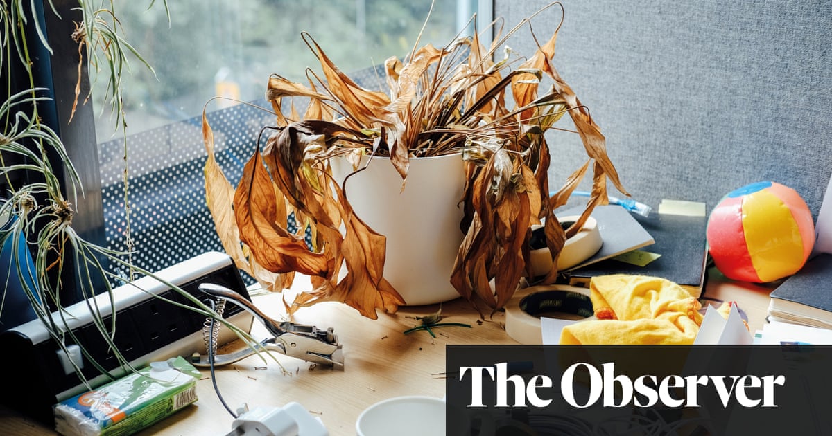 Unwatered office plants of lockdown – in pictures | Art and design - The Guardian