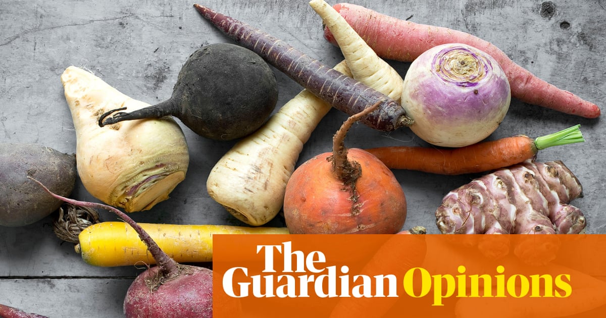 It’s my self-care hack of the year: I quit our local veg box scheme, and set my mind free | Rhiannon Lucy Cosslett