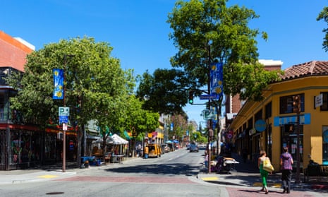 Trees in Berkeley, California. By planting only male trees – such as the cultivated deodar cedar – which shed pollen unused by female flowers, planners can worsen human allergies.
