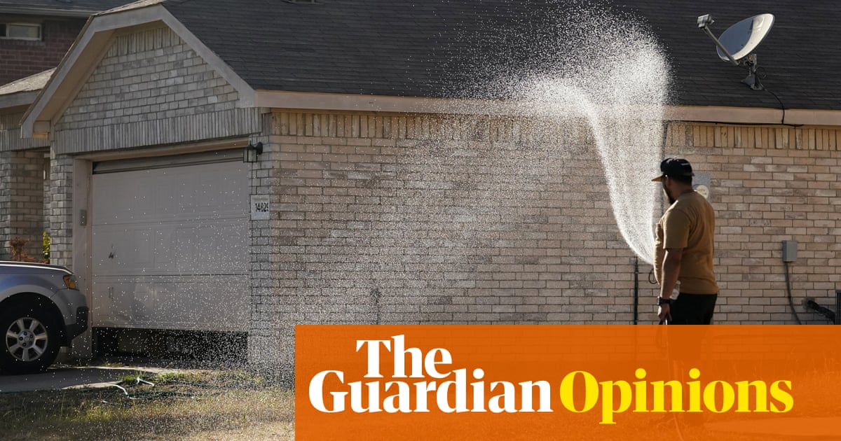 This heatwave is a reminder that grass lawns are terrible for the environment