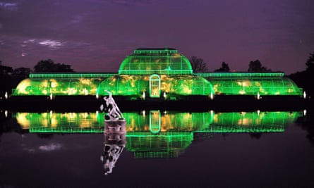 The Palm House at Kew is lit green for a Christmas event.