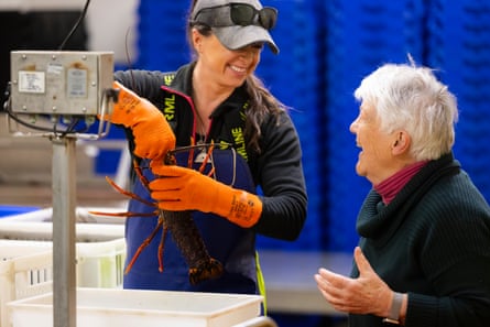 Emma McDonald (left) and Helen Cave sort the latest crayfish catch.