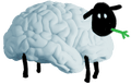 Sheep made from a brain