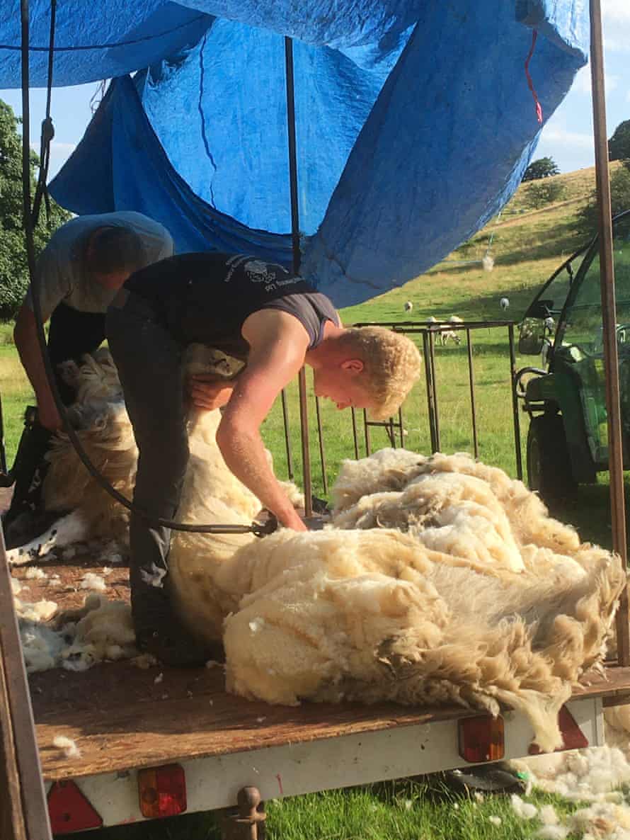 Clipping day