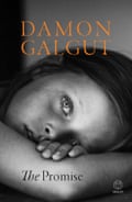 Galgut, The Promise