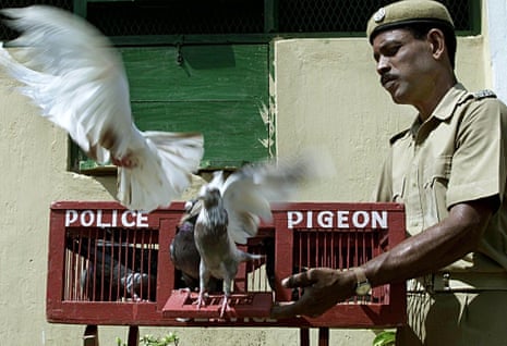 A new mission awaits as Constable Ashok Kumar Naik, an Indian police pigeon trainer, releases his birds in Cuttack in India’s Odisha state.