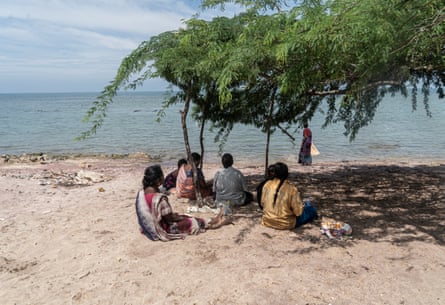 Seaweed collectors sit in the shade under a tree on the beach.