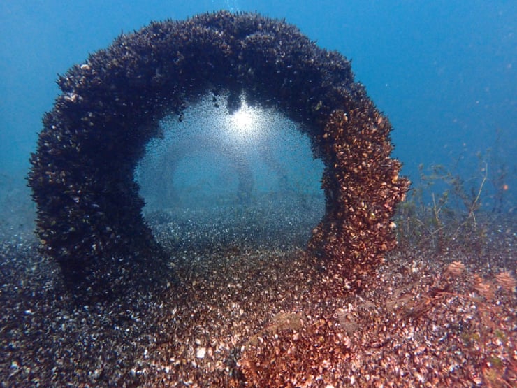 ‘It’s an open invasion’: how millions of quagga mussels changed Lake Geneva for ever ‘It’s an open invasion’: how millions of quagga mussels changed Lake Geneva for ever