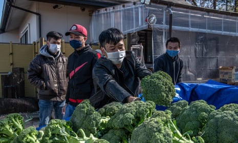 Vietnamese migrant workers made jobless and homeless by the coronavirus pandemic unload donated broccoli from a van at Daionji Temple on February 20, 2021 in Honjo, Japan.