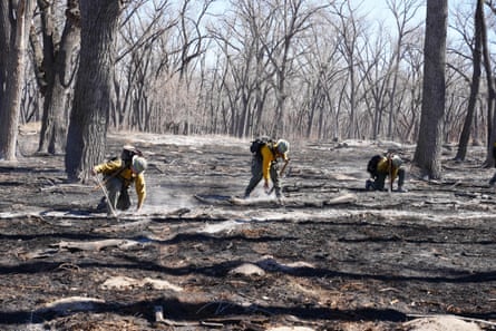 Firefighters searching forest grounds