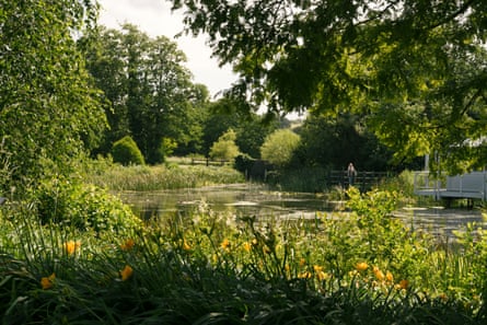 A pond at the botanic garden surrounded by lush vegetation
