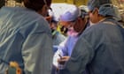 ‘A new beginning’: US man who received pig kidney transplant returns home