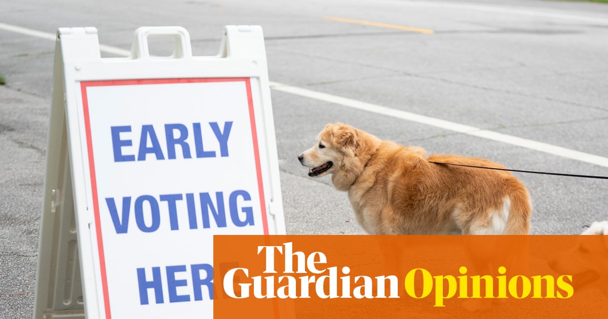 Ranked-Choice Voting: A Pathway to a More Inclusive Democratic Primary in 2028