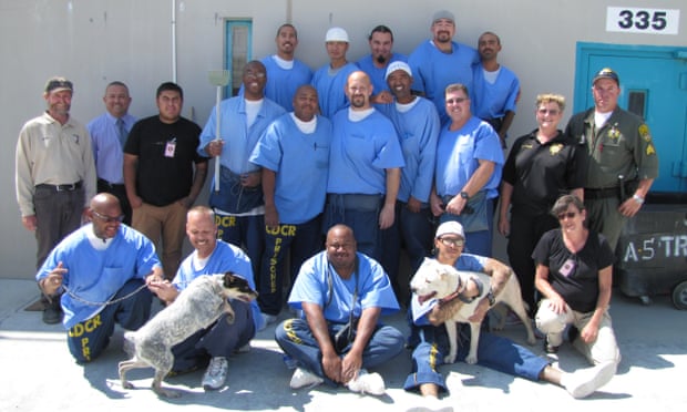 Inmates at the California State Prison, Los Angeles, participating in the Paws for Life program.