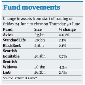 How much money does the government allow for a widow's pension?