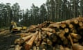 logging in Australia