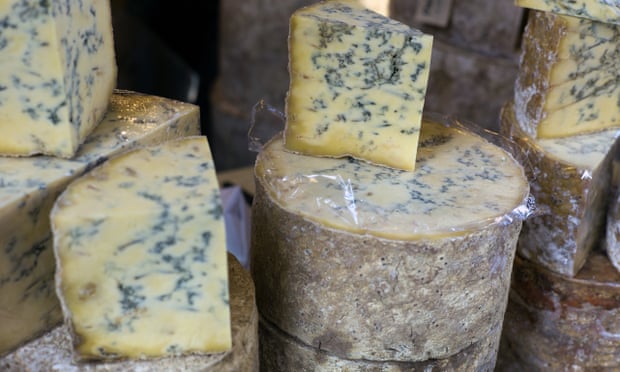 Виды сыра с плесенью фото Виды сыра с плесенью фото