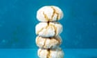 Meera Sodha's vegan recipe for soft amaretti biscuits | The new vegan