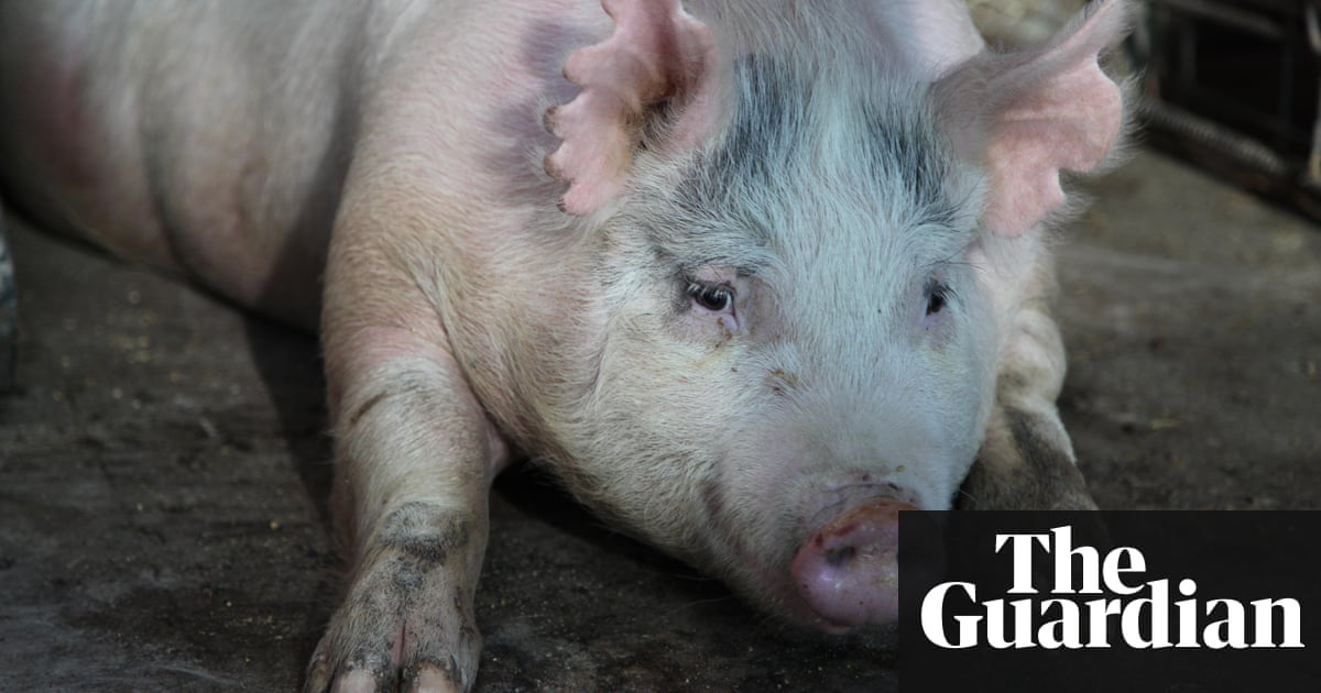 Konzerttagebuch Page 46 Chan 9757528 Rssing Com