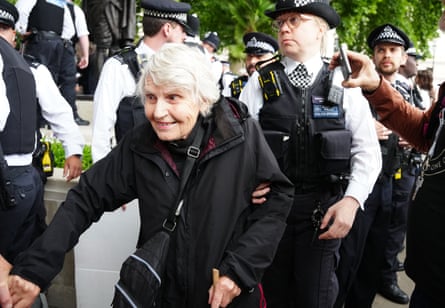 Sue Parfitt being led away by police