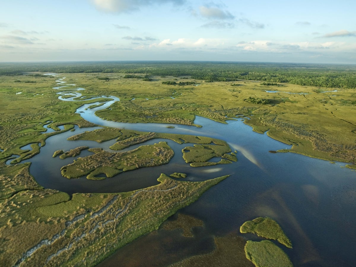 Everglades in crisis: can this Florida treasure avert an environmental tragedy? | Environment | The Guardian