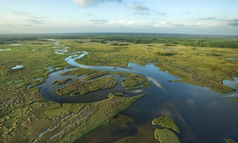 The Florida Everglades, a 1.5m acre subtropical preserve.