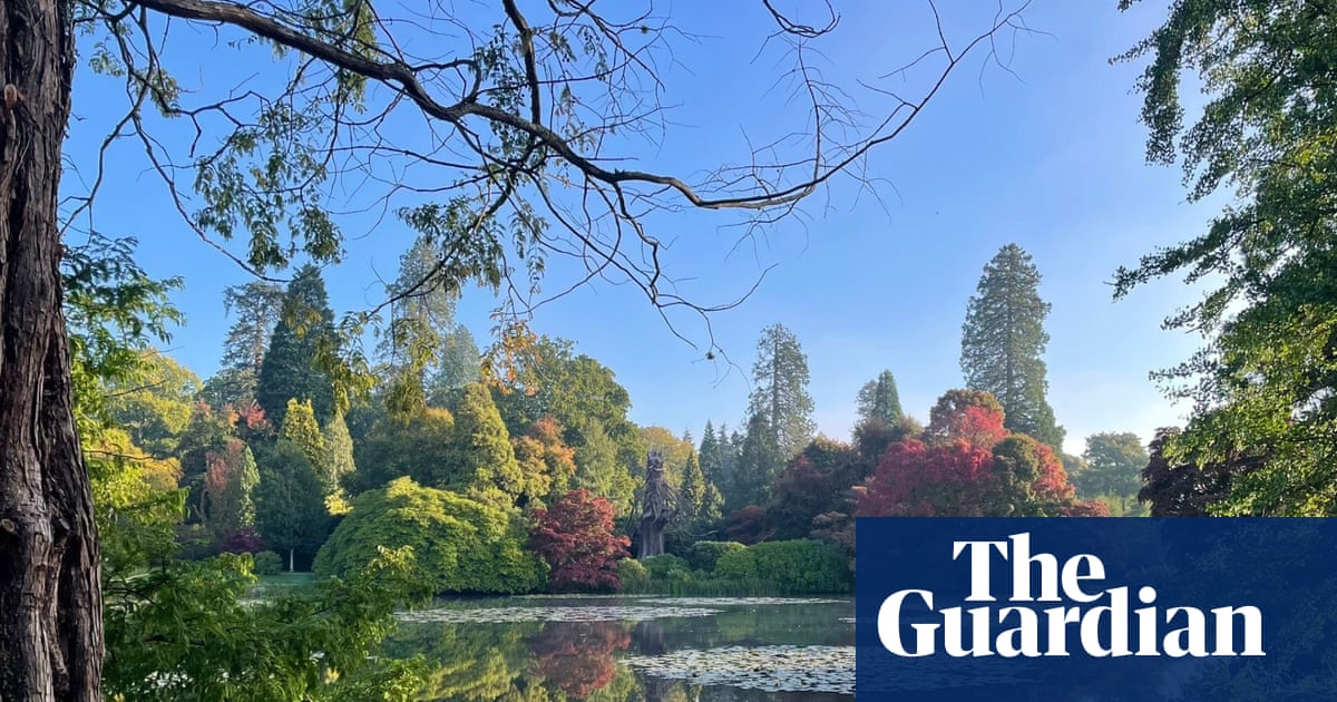 ‘Fiery and spectacular’ rainbow of autumn colour set to bloom across UK | Gardens ‘Fiery and spectacular’ rainbow of autumn colour set to bloom across UK | Gardens