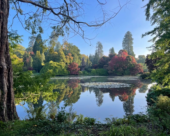 ‘Fiery and spectacular’ rainbow of autumn colour set to bloom across UK