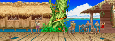 Amazon River Basin in Street Fighter II … the inspiration for one of Yoko Shimomura’s most notable early tracks.