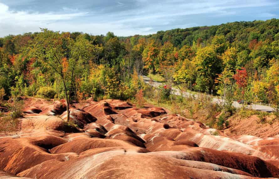 Rugged landscape of the Badlands - red rocks and trees