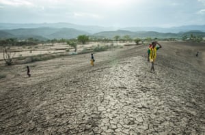 Farmers in drought-affected areas have had to watch the crops and livestock that feed their families and produce their income vanish