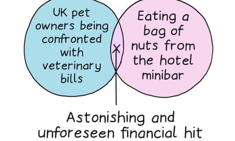 UK vet bills and nuts from the hotel minibar: Edith Pritchett’s week in Venn diagrams – cartoon