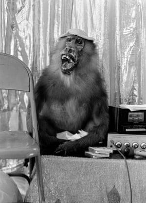 Baboon the Sideshow’s mascot.This era of traveling entertainment has continued moving and evolving into something else, and Anderson’s book is a time capsule of sorts. 