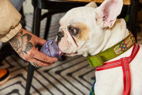A dog licks a treat held by a tattooed hand