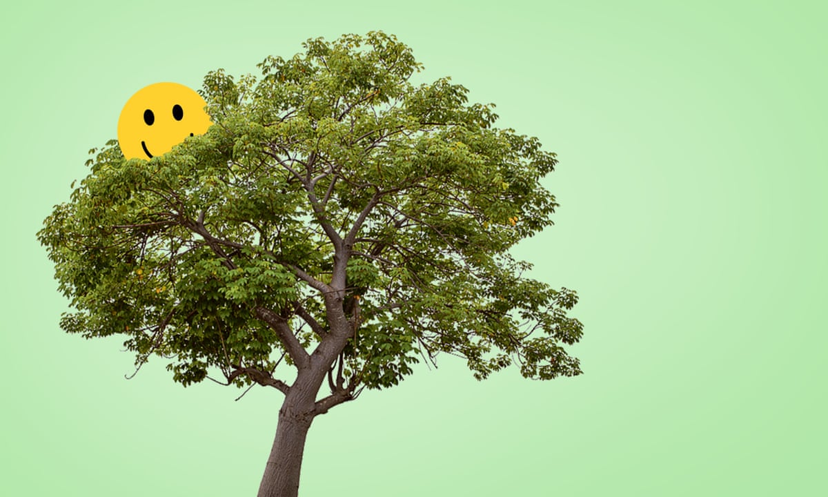 Climb a tree, and wiggle those hips: exercises to boost your mood | Fitness | The Guardian Climb a tree, and wiggle those hips: exercises to boost your mood | Fitness | The Guardian