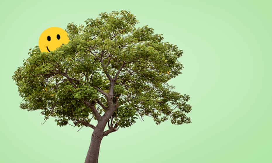 Climb A Tree And Wiggle Those Hips Exercises To Boost Your Mood Fitness The Guardian Climb A Tree And Wiggle Those Hips Exercises To Boost Your Mood Fitness The Guardian