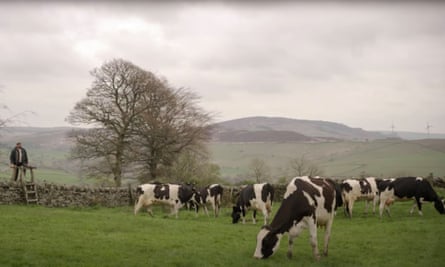 Bucolic scenes on UK milk adverts cover actuality of life for ‘battery cows’ | Animal welfare