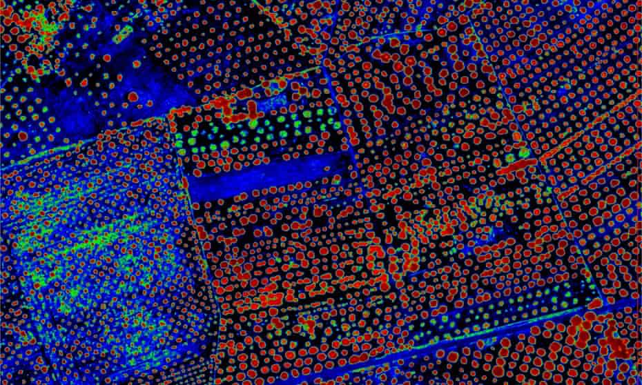 An airborne ‘hyperspectral’ image acquired over the Xylella fastidiosa infected region in Puglia, southern Italy.