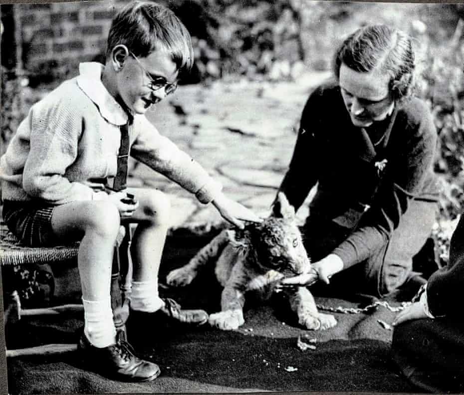 Singh the lion cub in the garden at Westcott House, Dorking with Freda and Nick, Francis’ younger brother. This photo was taken by reporters at the Daily Express who came to photograph Singh on Sunday 26th May 1935.