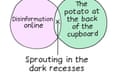 Disinformation online/The potato at the back of the cupboard - Sprouting in the dark recesses