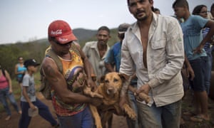 رجال الانقاذ تحمل الكلب المصاب إلى بر الأمان في بينتو رودريغز.