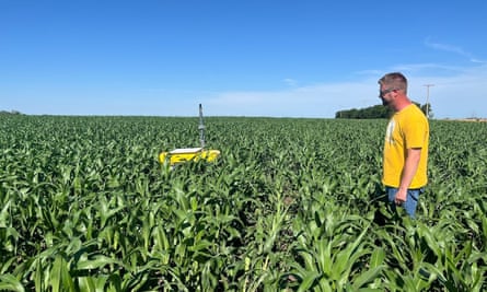 Um homem vestindo uma camiseta amarela está em um campo de sorgo enquanto um robô amarelo que corta ervas daninhas se move