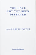 Cover of You Have Not Yet Been Defeated