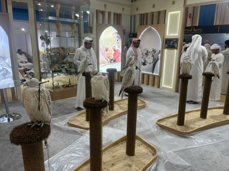 Men in traditional UAE white robes and head scarves in a room with seven falcons displayed on individual perches
