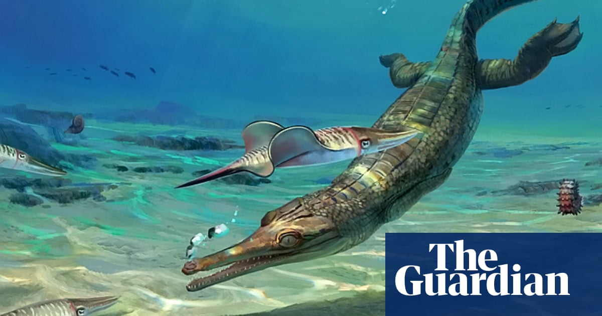 ‘Charmouth crocodile’ identified as new genus of croc-like creature
