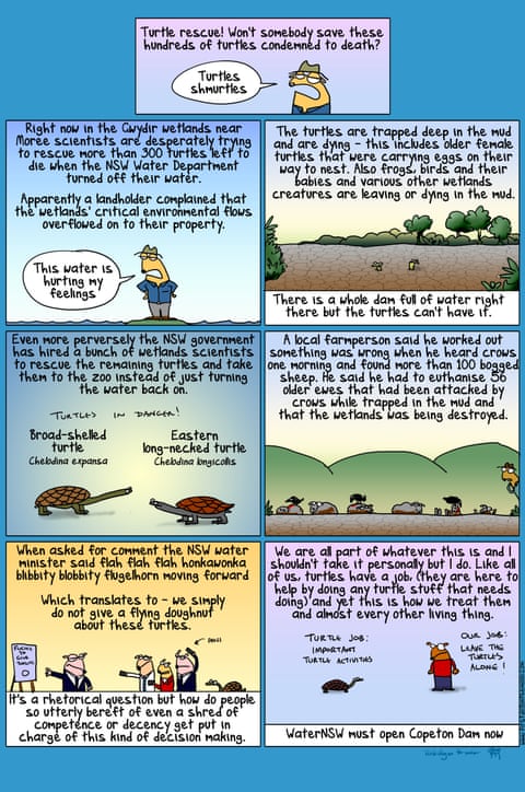 First Dog on the Moon cartoon called Turtle Murder, panel 1