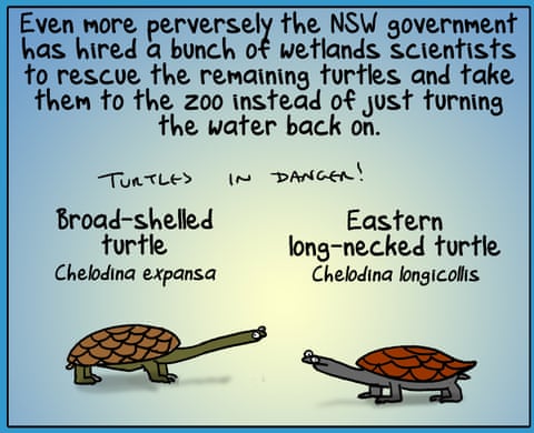 First Dog on the Moon cartoon called Turtle Murder, panel 4