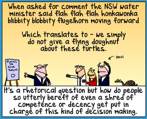 First Dog on the Moon cartoon called Turtle Murder, panel 6