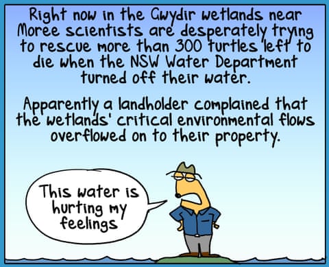 First Dog on the Moon cartoon called Turtle Murder, panel 2